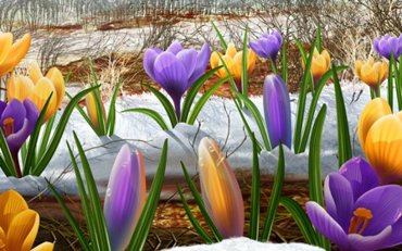 1 March